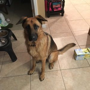 Meet your Posher, Mary jo